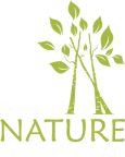 Parakkat Nature Resorts